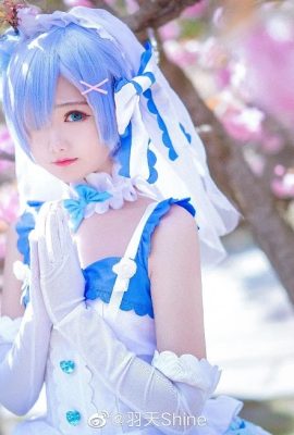Re: Life in a different world from scratch Rem Hanayo @ 禹天Shine (9P)