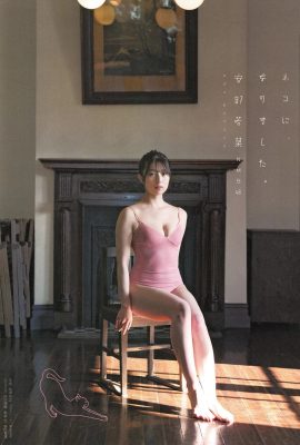 (Abe Wakana) Japanese idol's chest is opened and beautiful breasts are exposed (12P)