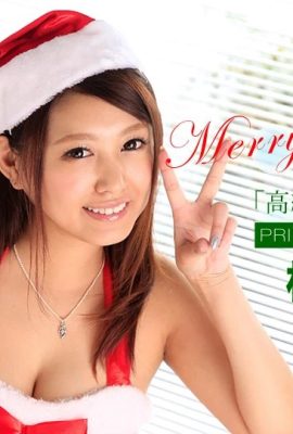 (Miami Aimoto) Christmas beautyes into your home to serve you (63P)