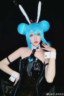 Hatsune Miku@星子-Makoto’s current girlfriend (10P)