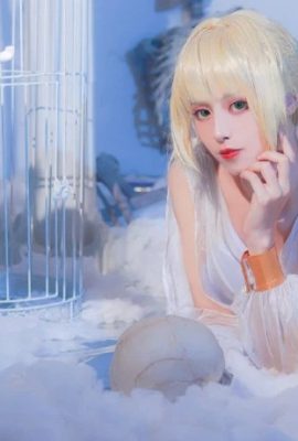 Fate/Grand Order Nero Claudius Roman nightgown @coser安歌(9P)