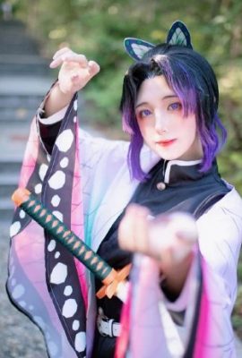 Demon Slayer: Kimetsu no Yaiba Butterfly Ninja @猫猫Hcat (9P)