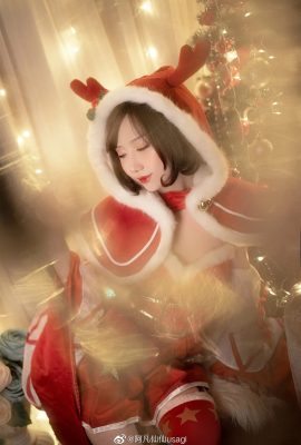 King of Glory Christmas Diao Chan@阿fan仙仙usagi (9P)