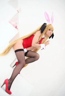 Fate Testarossa Sexy Valentine Cosplay (21P)