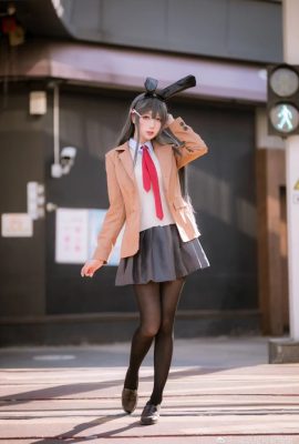 A young pig-headed boy will not dream of bunny girl senior Mai Sakurajima@-Zhou Ji is a cute bunny- (9P)