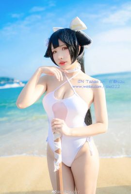 Azur Lane Kaohsiung (Mastiff) Beach Rhapsody @吖静sizu222 (9P)