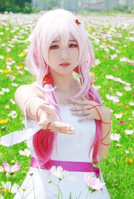 Xia Ningning-Guilty Crown COS Double Ponytails and Three Wraps Praying to the Sea of ​​Flowers