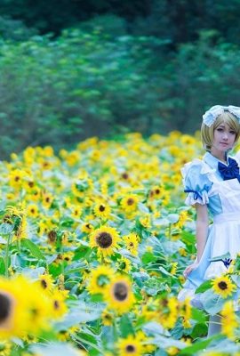 Shimada Oguma-LOVE LVE! COS Koizumi Hanayo