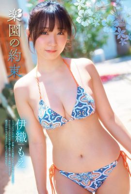 (Yori Iori) The figure is plump and material is about to explode in the middle (12P)