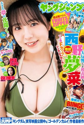 (Nishino Menina) The plump shape is about to explode, and my sister’s figure is so attractive (13P)