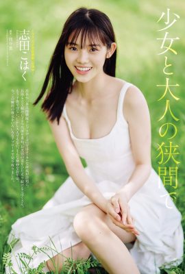 (Shida Shida) Big-eyed sweet girl is white, tender and very attractive (10P)