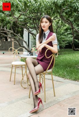 (SIW Sven Media Series) Zhenzhen Hotel Uniform Black Silk High Heels Beautiful Legs (62P)