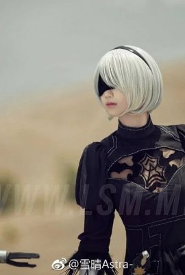 (Snow Clear Astra) Yorha 2B