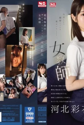 (GIF) Ayaka Kawakita A female teacher who has be a prisoner of train obscenity (32P)