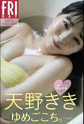 Kiki Amano “Yumegokochi. Vol.2 110 Page Super Luxurious Edition “(99P)