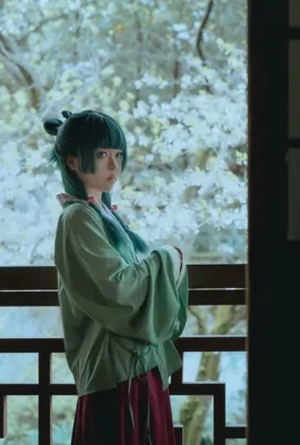 -Vector fish – – Maomao