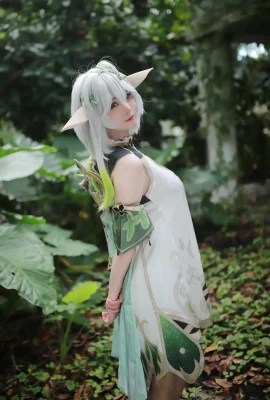 Uesugi Rice – Nanishida